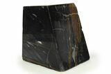 Polished Petrified Wood Stand Up - Oregon #277136-1